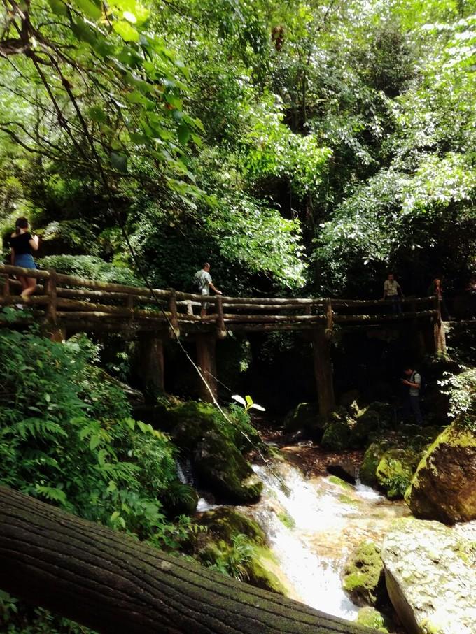 成都青城山後山旅遊攻略