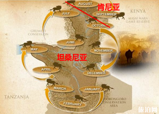非洲角马大迁徙路线图片
