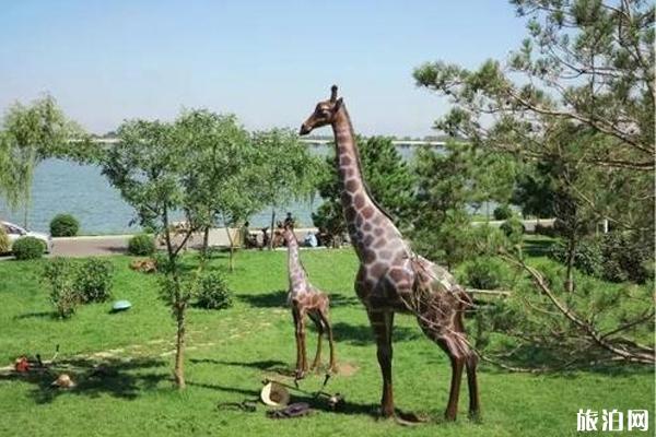 瀋陽森林動物園門票多少錢瀋陽森林動物園怎麼去