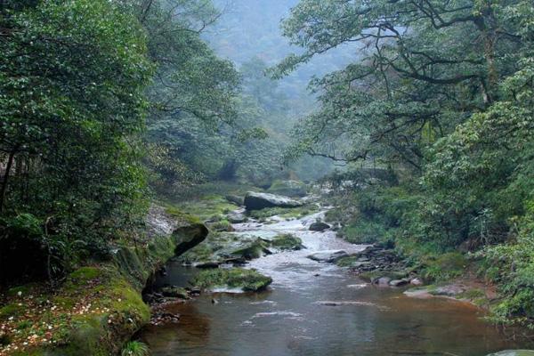 新乡香木河自然保护区图片