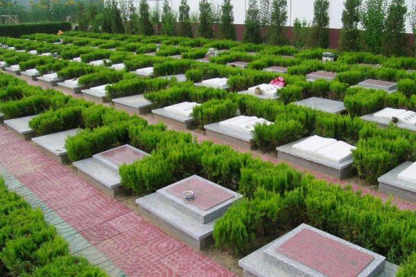 杭州公墓图片