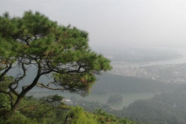 广西桂平风景区旅游攻略图（广西桂平
景点）