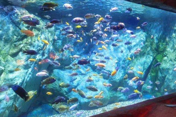 宁波海洋馆和海底世界图片