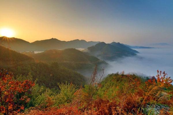 2021受疫情影响重庆巴南彩色森林公园暂停开放