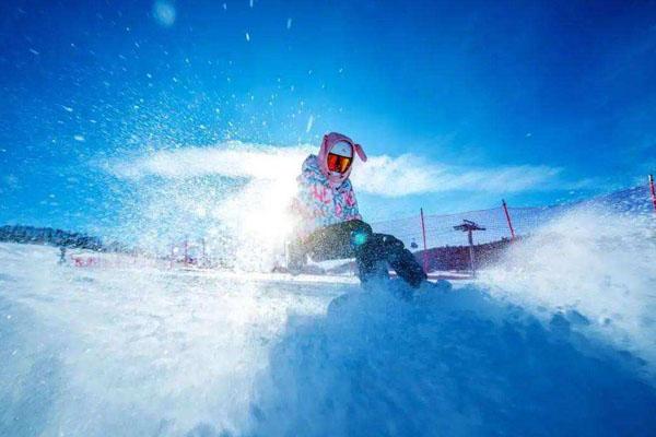 青岛世园会滑雪场门票图片