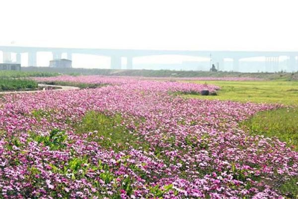 2022南海獅山拾貳季生態島遊玩攻略 - 開放時間 - 門票 - 地址