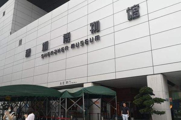 深圳钢琴博物馆图片