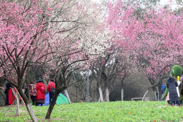 2022杭州植物園門票多少錢一張杭州植物園門票優惠政策