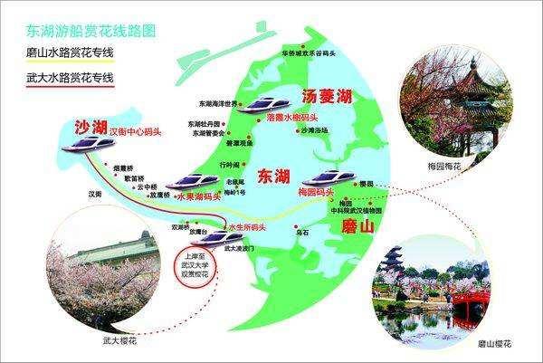 武汉东湖樱花园地图图片