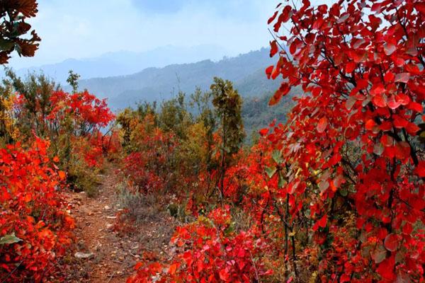 西安最美秋景赏红叶的好去处