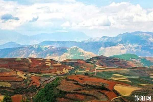 2022東川紅土地旅遊攻略 - 門票價格 - 最佳時間 - 最佳路線 - 住宿